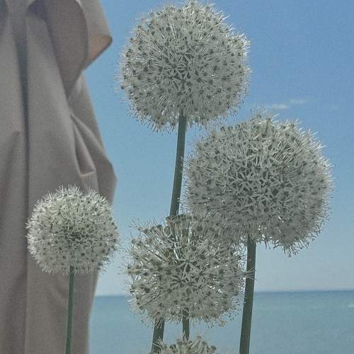 Photo #8941152