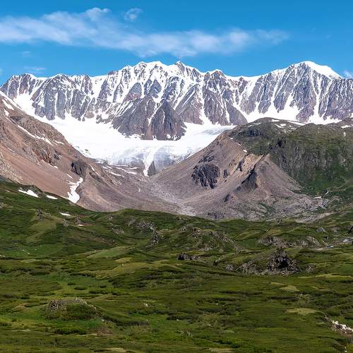 В зеленом бархате