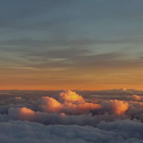 Photo #8941433