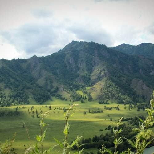 Photo #8941456