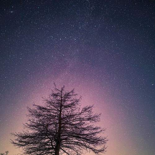 Photo #8941607