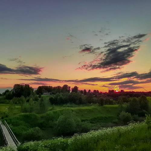 Photo #8941788