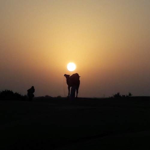 Photo #8941938