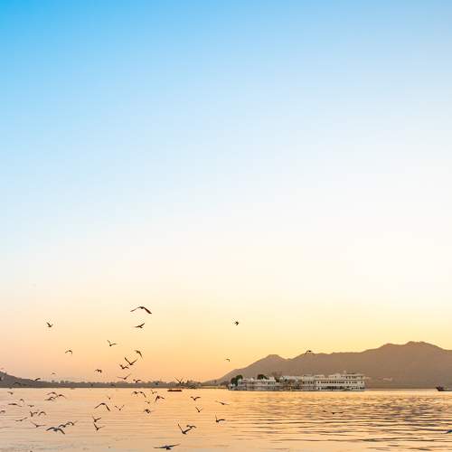 Photo #8942016
