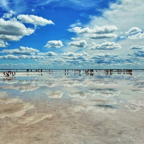 Photo #8942025