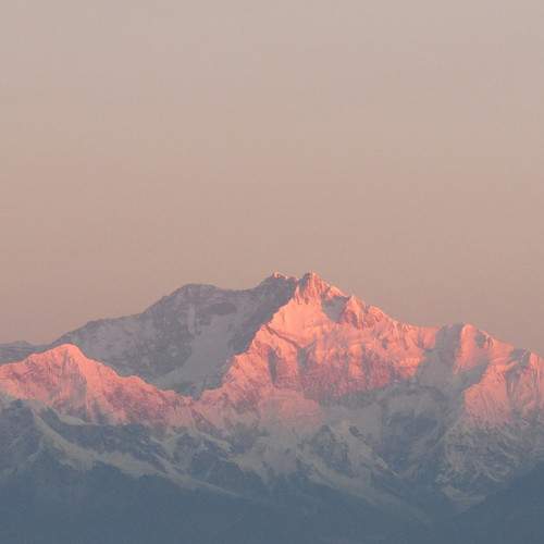 Photo #8942116