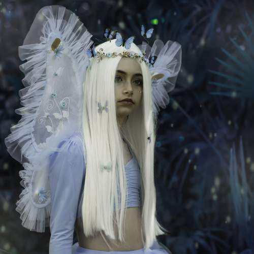 The magic forest