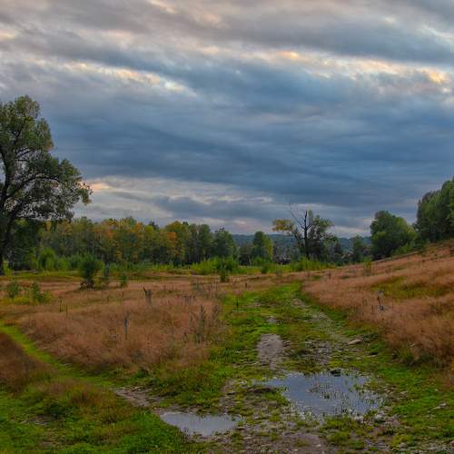 Photo #8942388