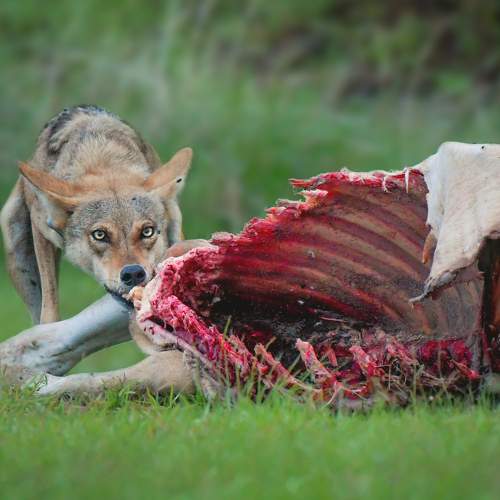 Photo #8942735