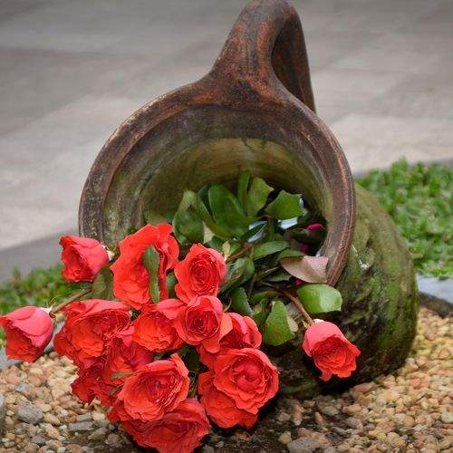 Photo #8942744