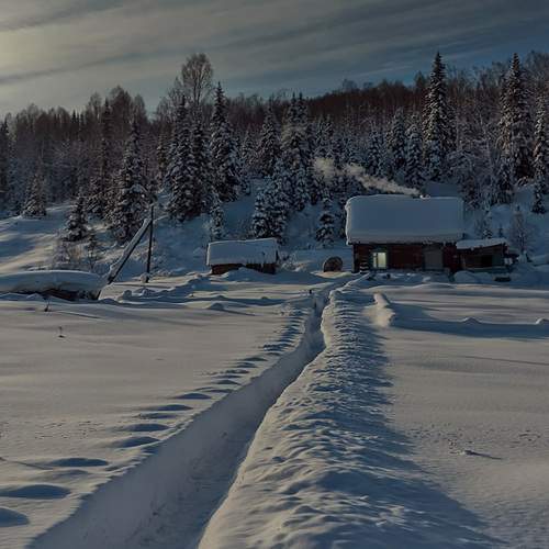Photo #8942800