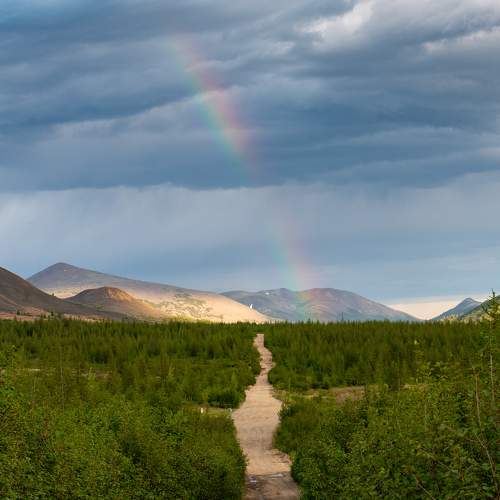 Photo #8942873
