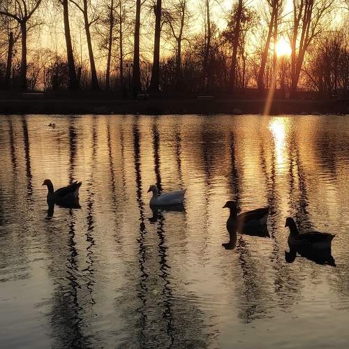 Photo #8943168