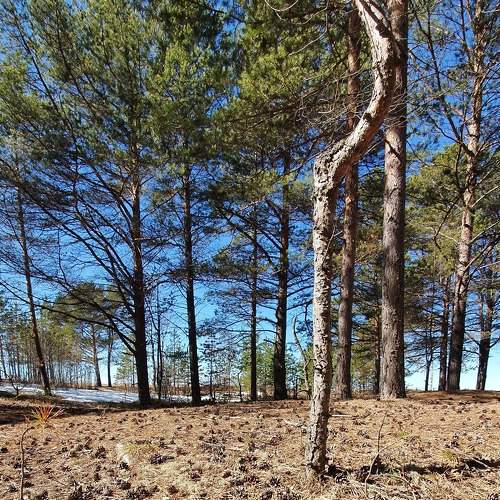 Photo #8943258