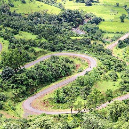Photo #8943314