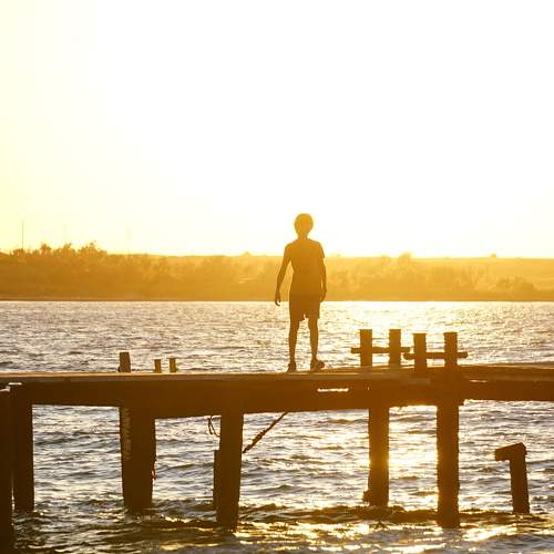 Photo #8943320
