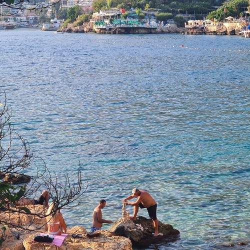 Photo #8943353
