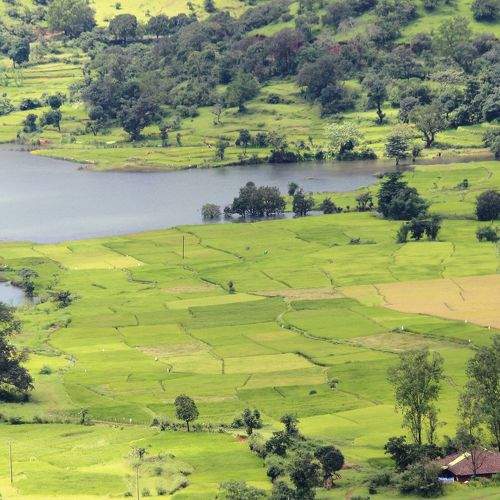 Photo #8943358