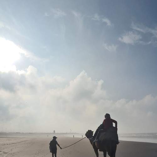 Photo #8943426