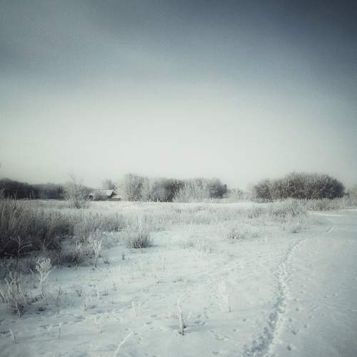 Photo #8943643