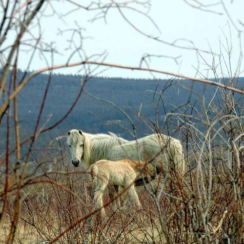 Photo #8943745