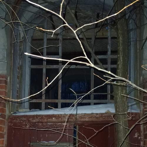 Photo #8943825