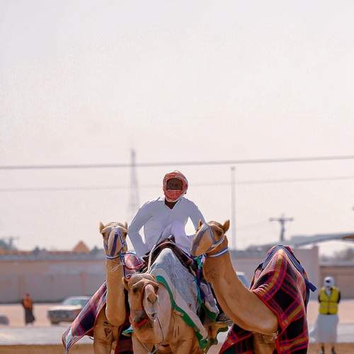 Photo #8944438