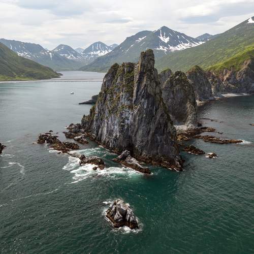 Photo #8944493