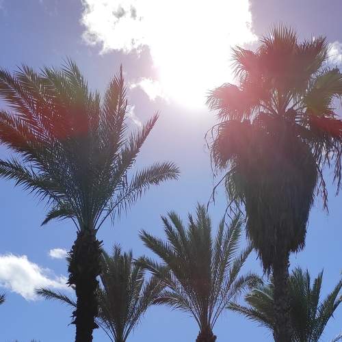 Photo #8944886