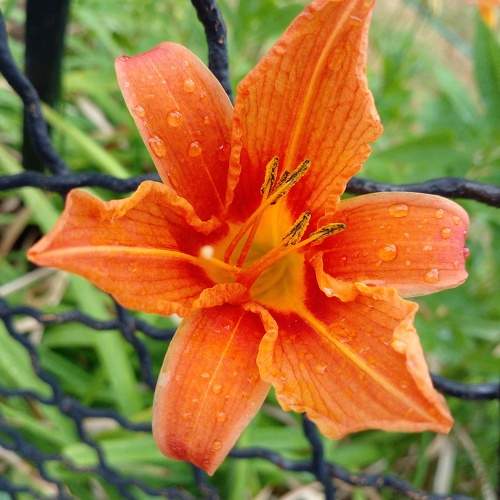 Photo #8944887