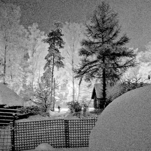 Photo #8944945