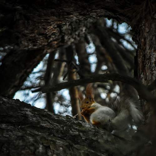 Photo #8945111