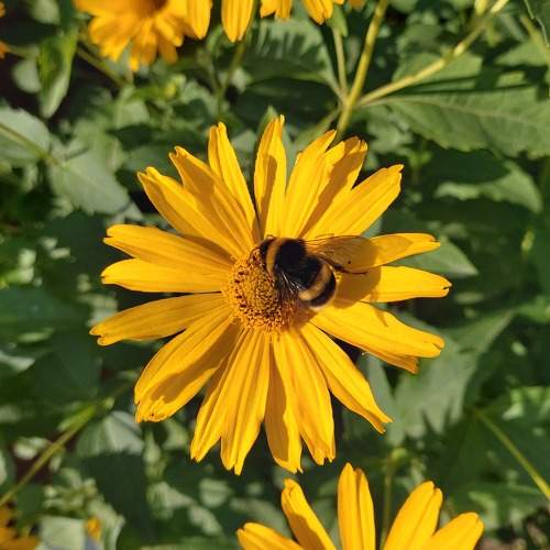 Photo #8945174