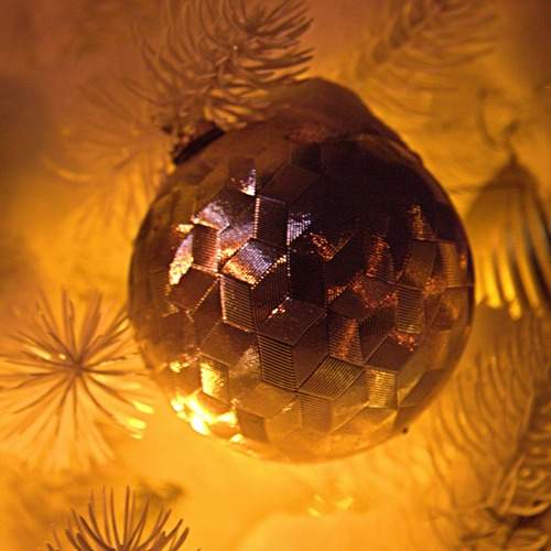 Photo #8945254