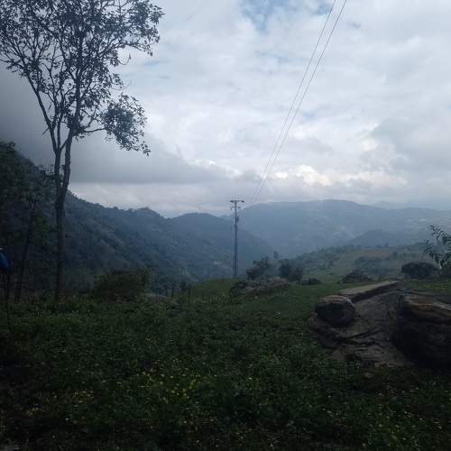 Photo #8945751