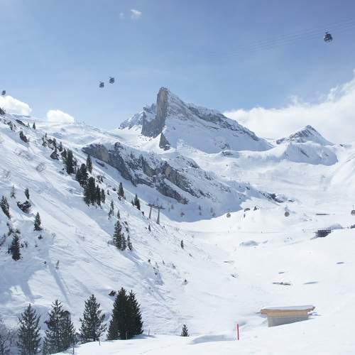 Photo #8945797