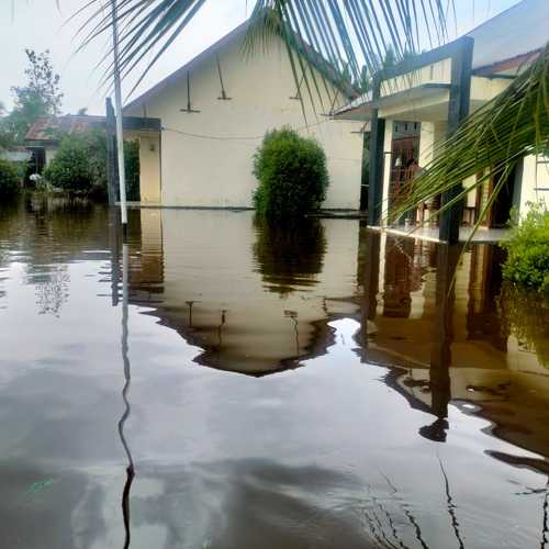 Photo #8946391