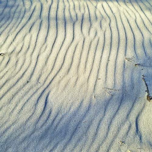Photo #8946444