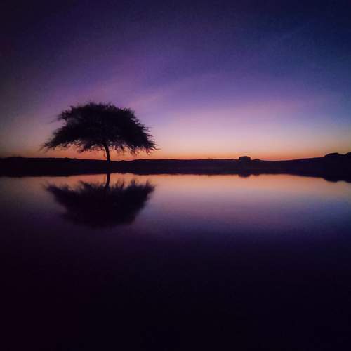 Photo #8946644