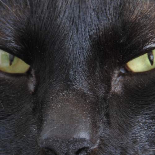 Photo #8946920