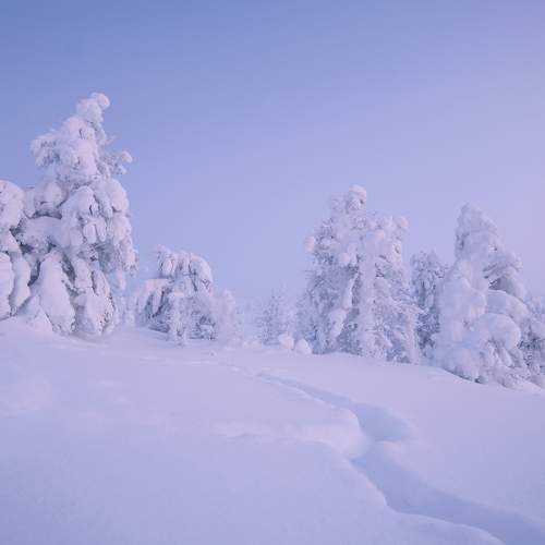 Photo #8947019