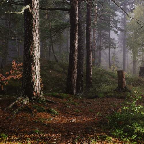 Photo #8947039