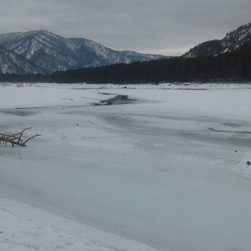 Photo #8947168