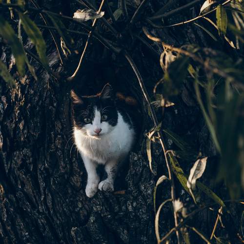 Photo #8947188