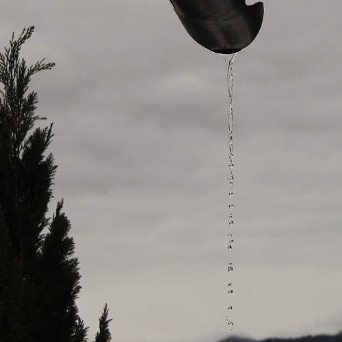 Photo #8947216