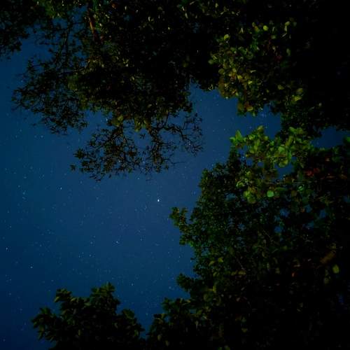 Photo #8947348