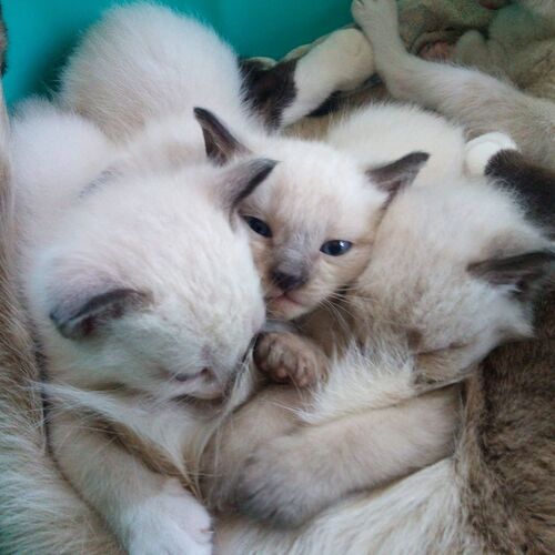 Photo #8947821