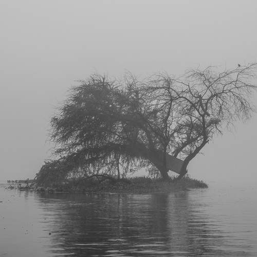 Santa Niebla