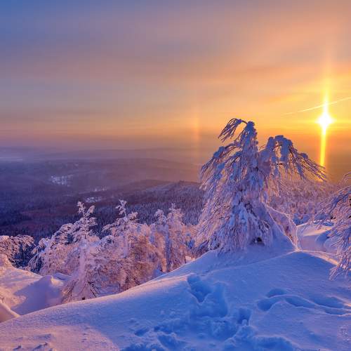 Photo #8947868