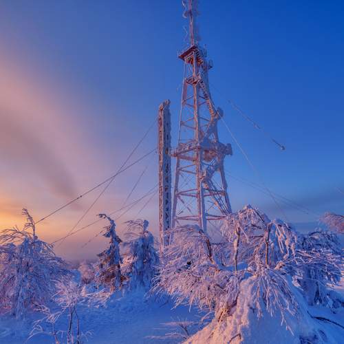 Photo #8947929